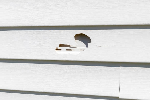 Best Construction Debris Removal  in Lincoln, MT